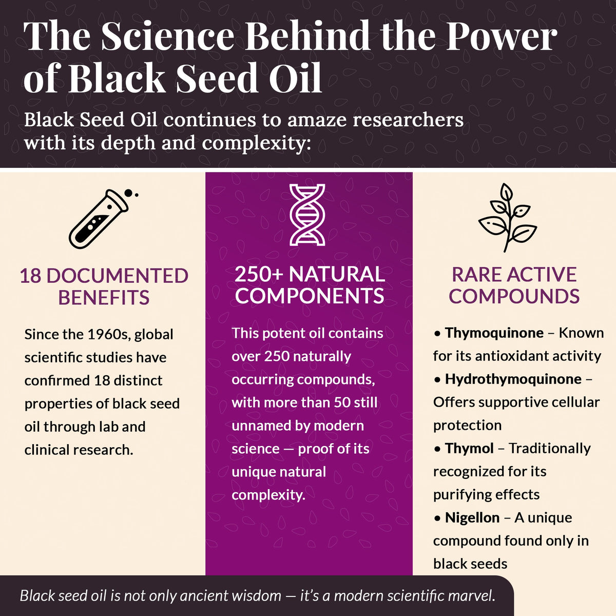 Gym Chemistry Health Lab™ Black Seed Ritual Oil — product image 7