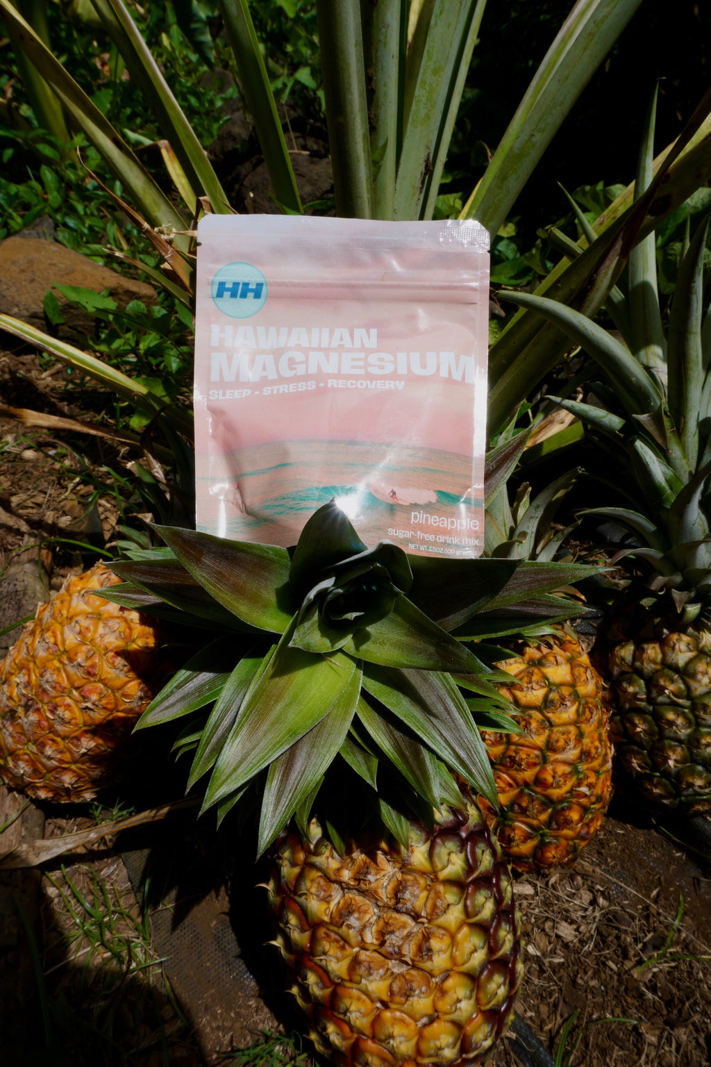 Pineapple Magnesium | GC Wellness Edit™